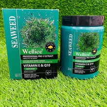 Wellice Seaweed Hair masks-CMS BeautyMart